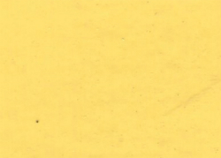 1983 International Saffron Yellow